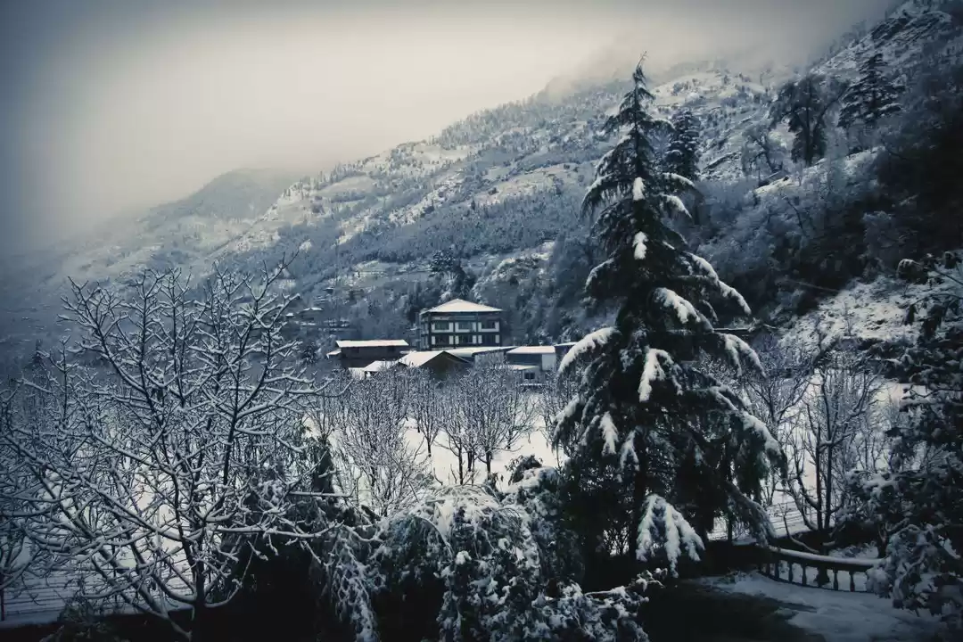 Photo of This hidden treasure