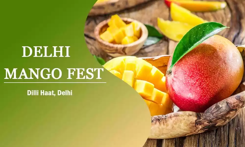 Photo of Here Is a 'Mangolici