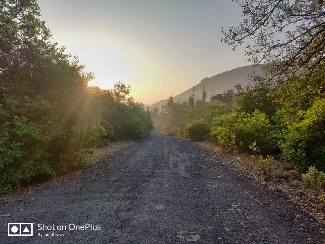 Photo of Nageshwar and Jungle