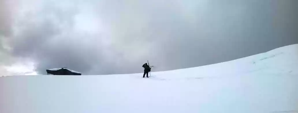 Photo of What Did I Learn Whi