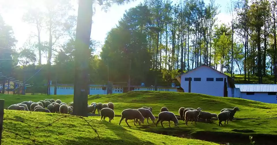 Photo of Ooty, coonoor,loveda