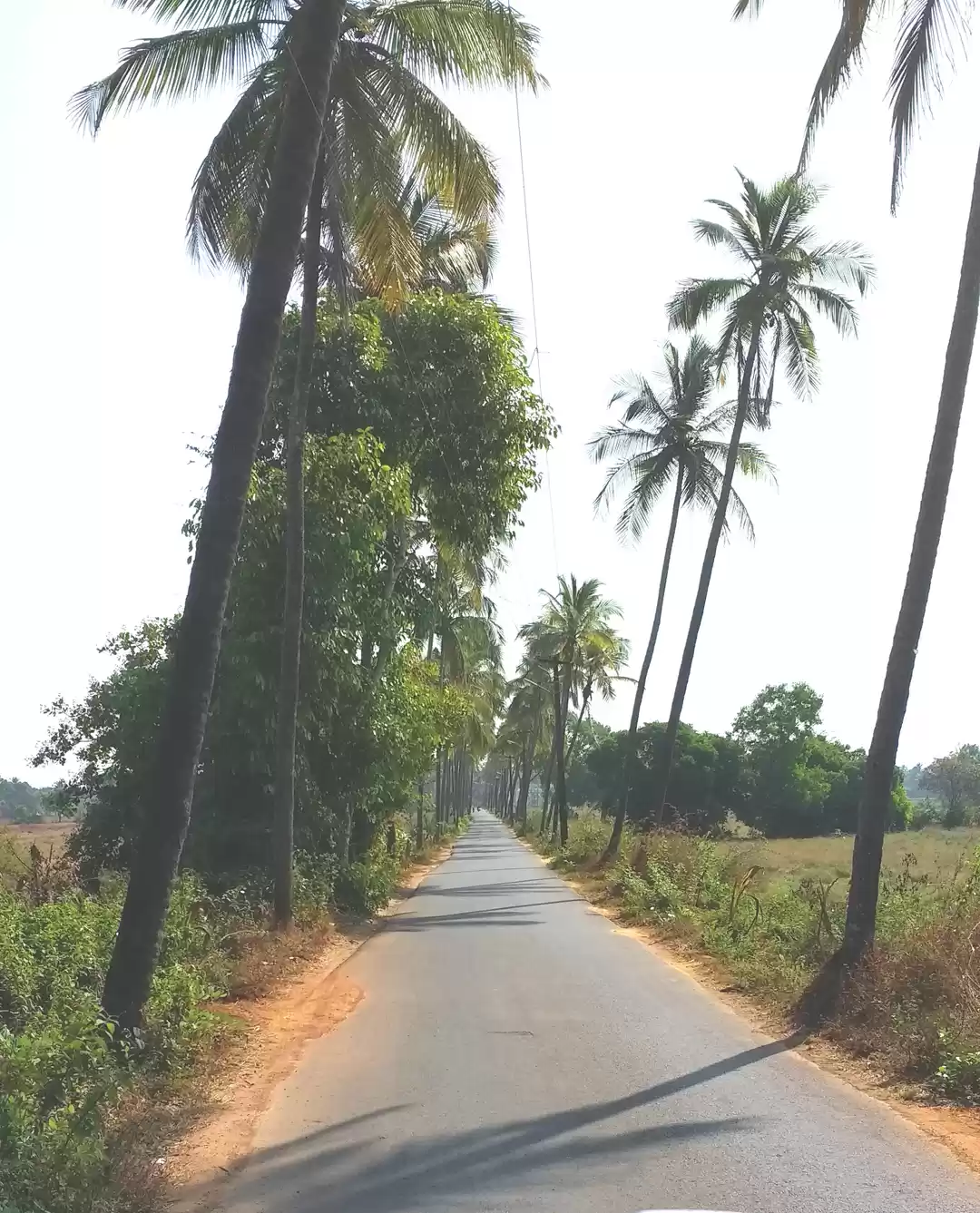 Photo of Beyond parties in Go