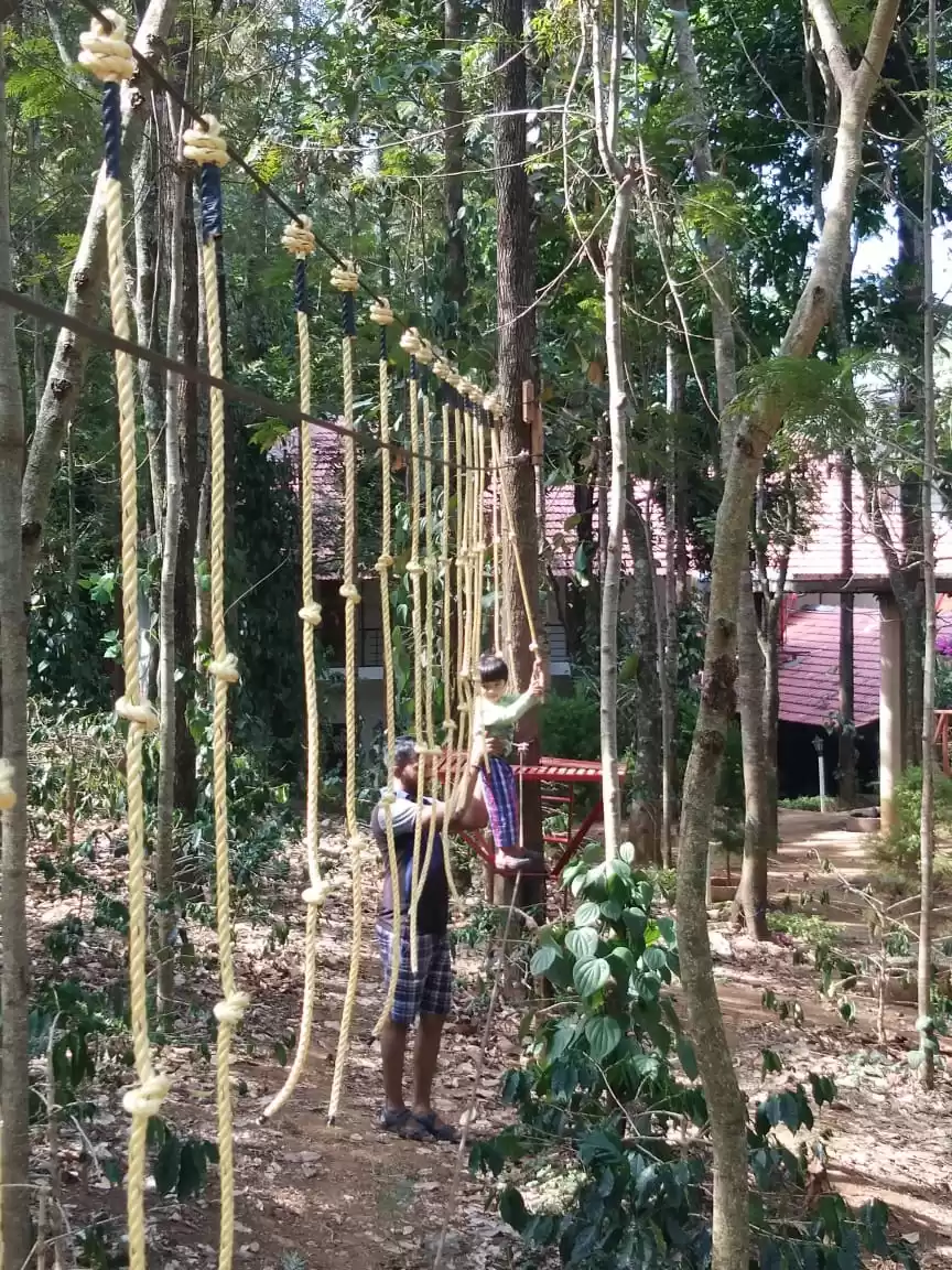 Photo of Chikmagalur coffee e