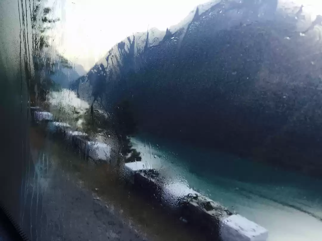 Photo of When I met the Cavia