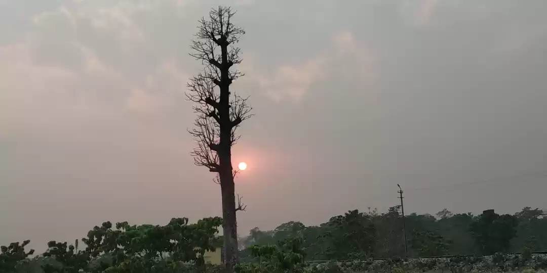 Photo of Gulma, Near Siliguri