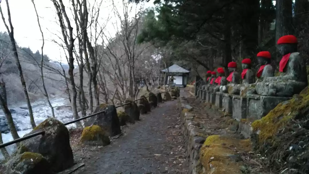 Photo of More About Visiting