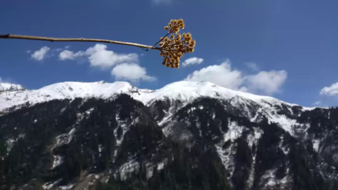 Photo of INR 5500, 5Days: Mag