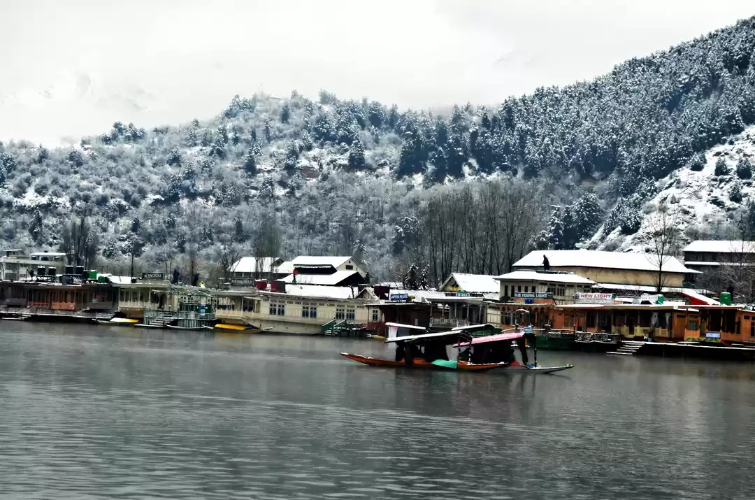 Photo of Solo Travel From Ker