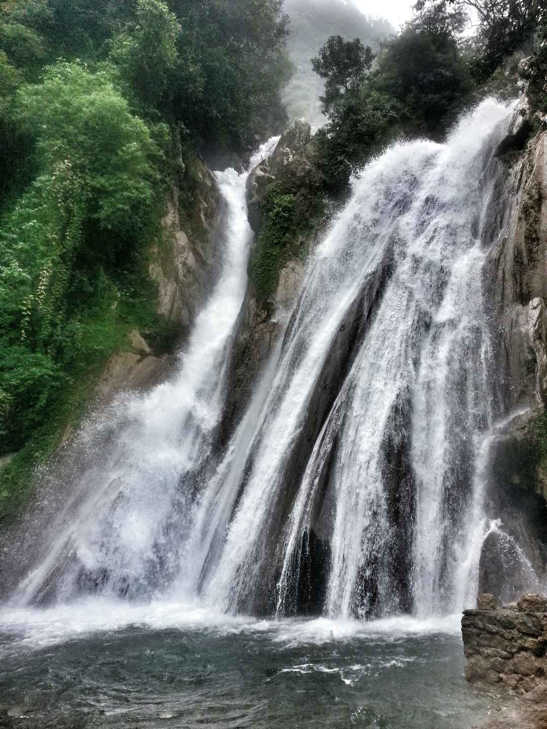 Photo of Dehradun And Mussoorie (Queen of hills )