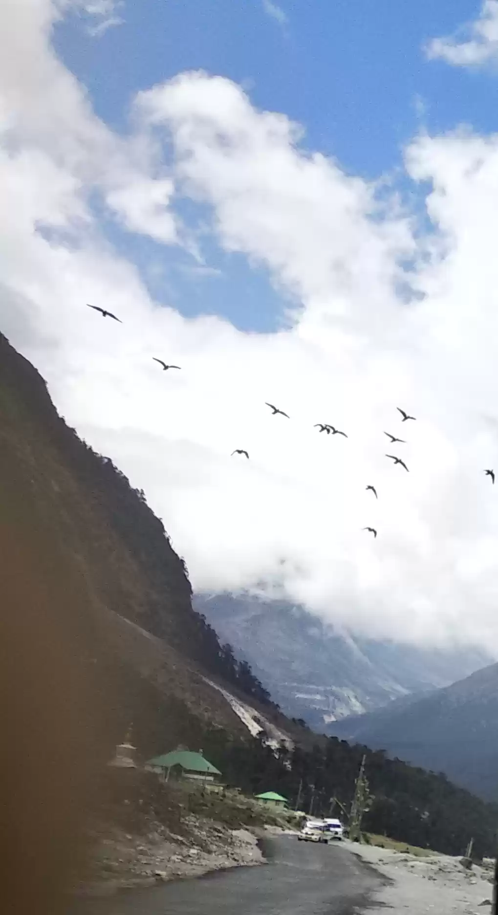 Photo of Just fly #nature #tr