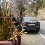 Photo of Shimla to Dharamshal