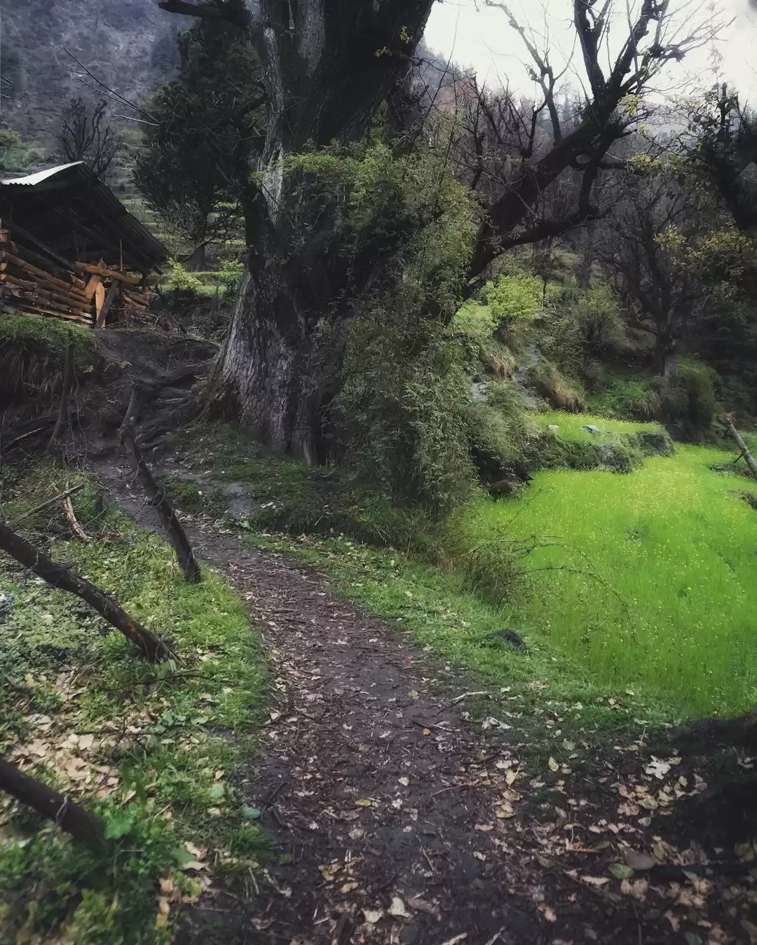 Photo of This Quaint Village 