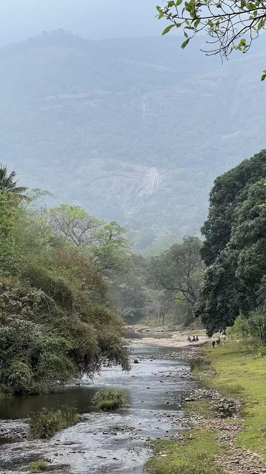 Photo of Exploring Marayoor