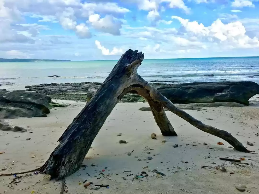 Photo of Incredible Blue Anda