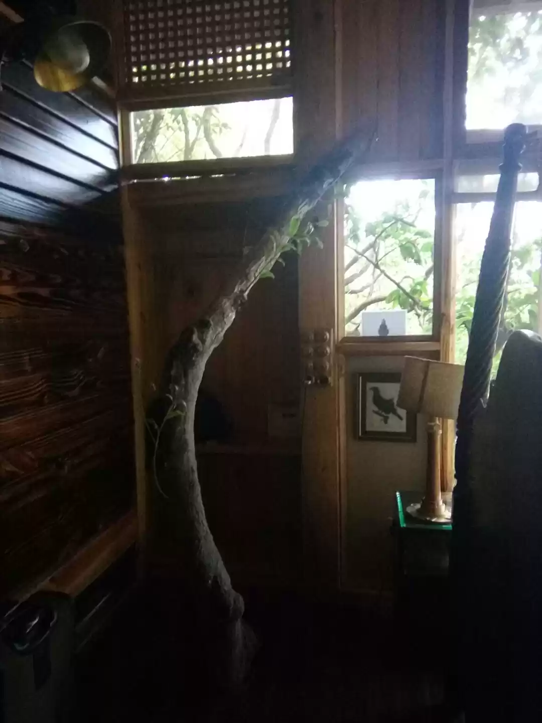 Photo of Connect With Nature: