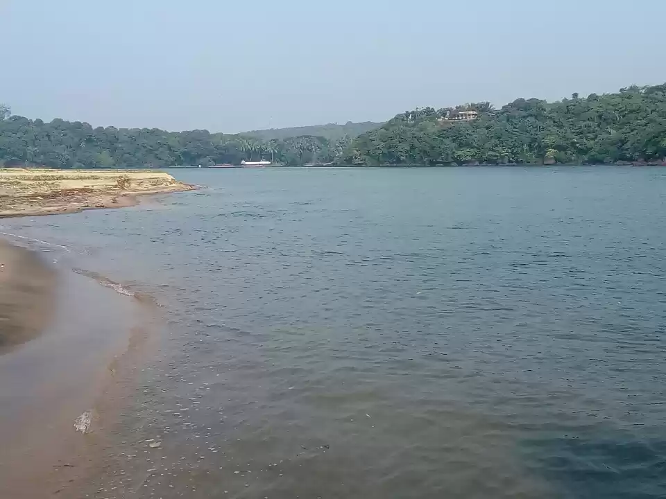 Photo of Seeking 'Redi' Divin