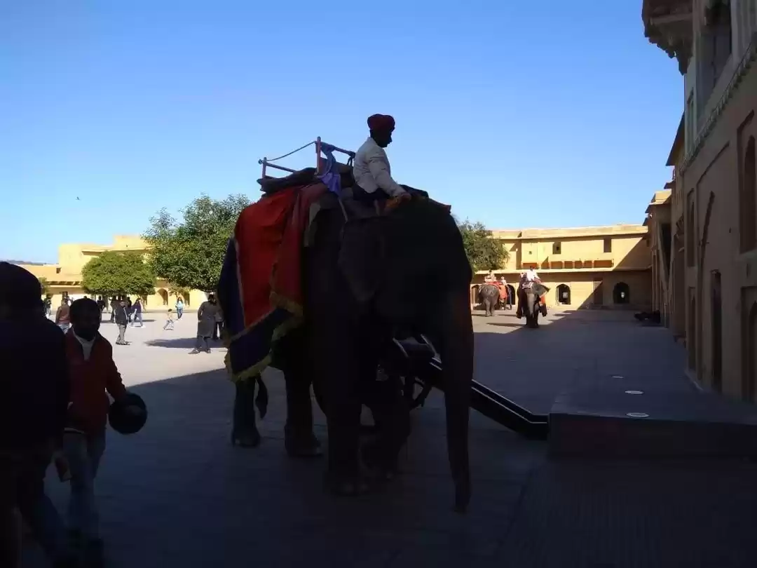 Photo of Into the land of Kin