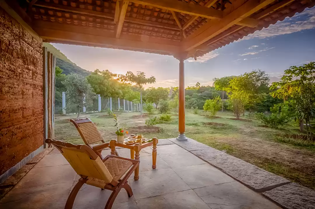 Photo of Baevu- a sustainable