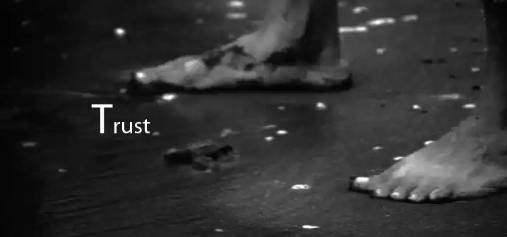 Photo of Velas Turtle Festiva