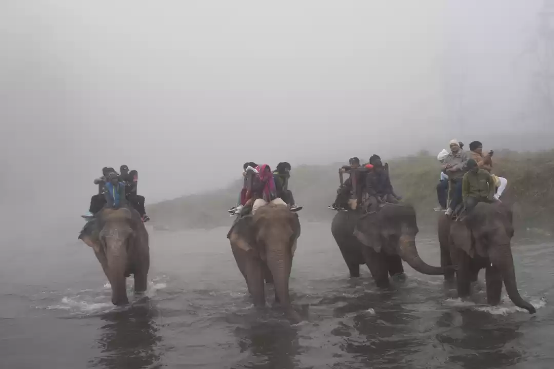 Photo of Yu he chal chal raah