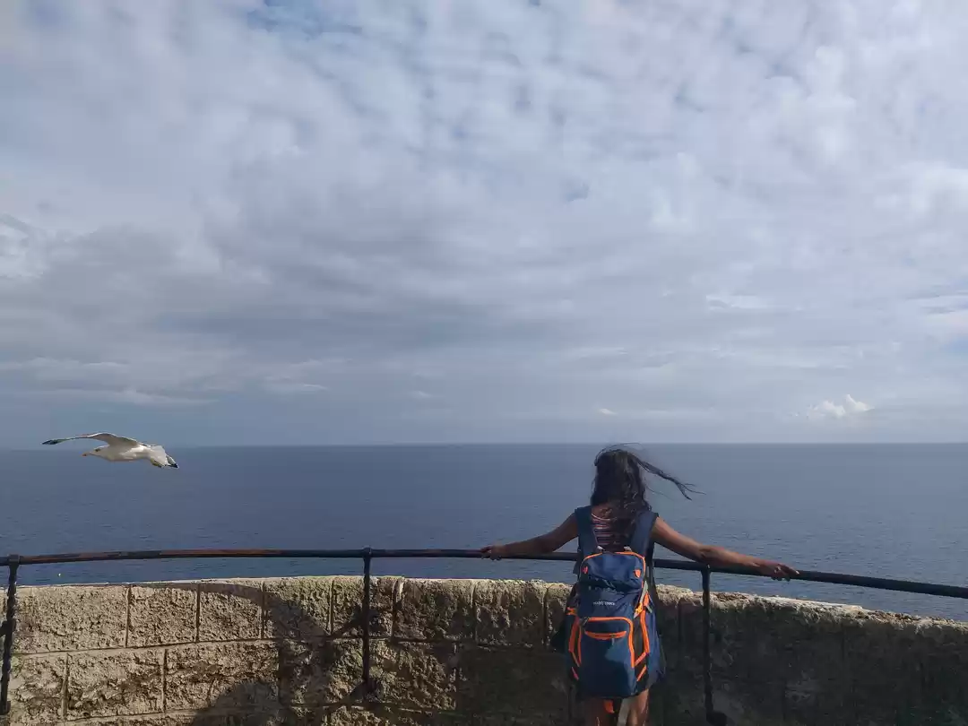 Photo of Flapping my wings do