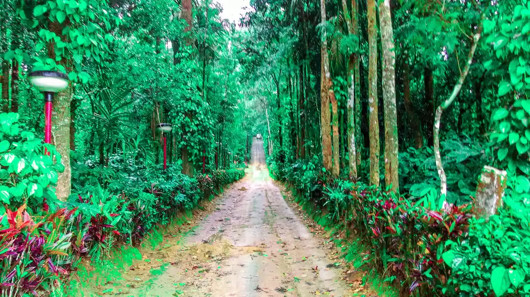 Photo of Things to do in Coor