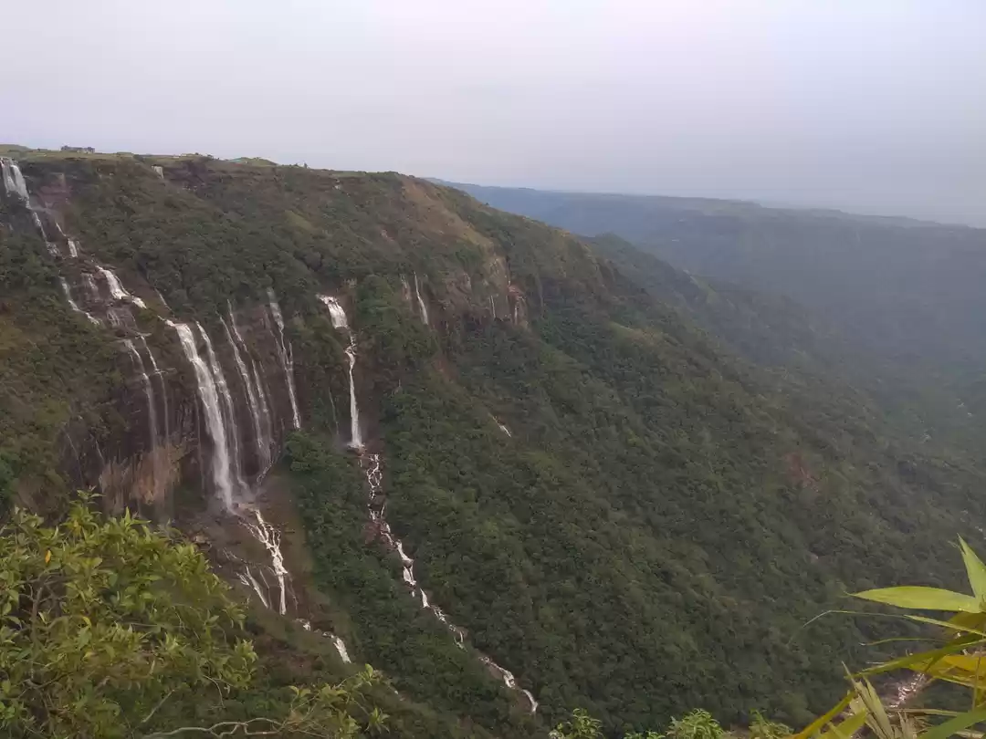 Photo of Never say no to nort