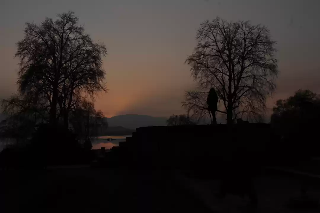 Photo of Journey as a solo tr