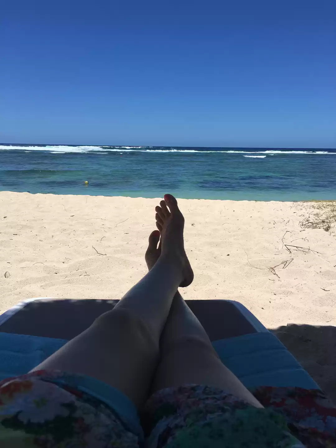 Photo of When blue meets blue