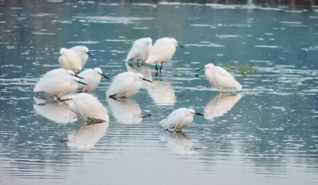 Photo of On the Soil of Bhand