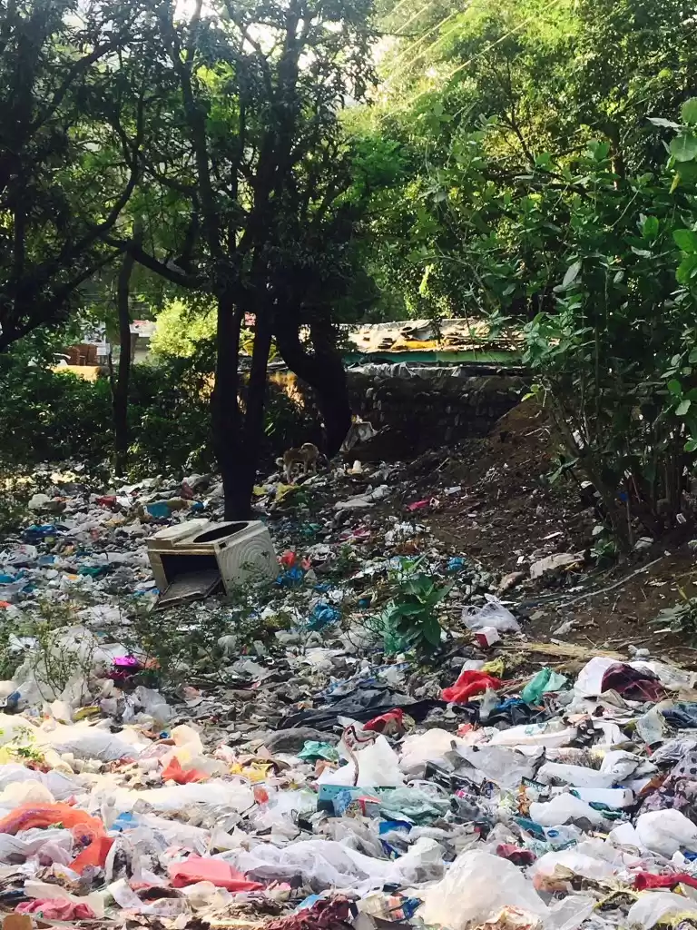 Photo of I watched my home in