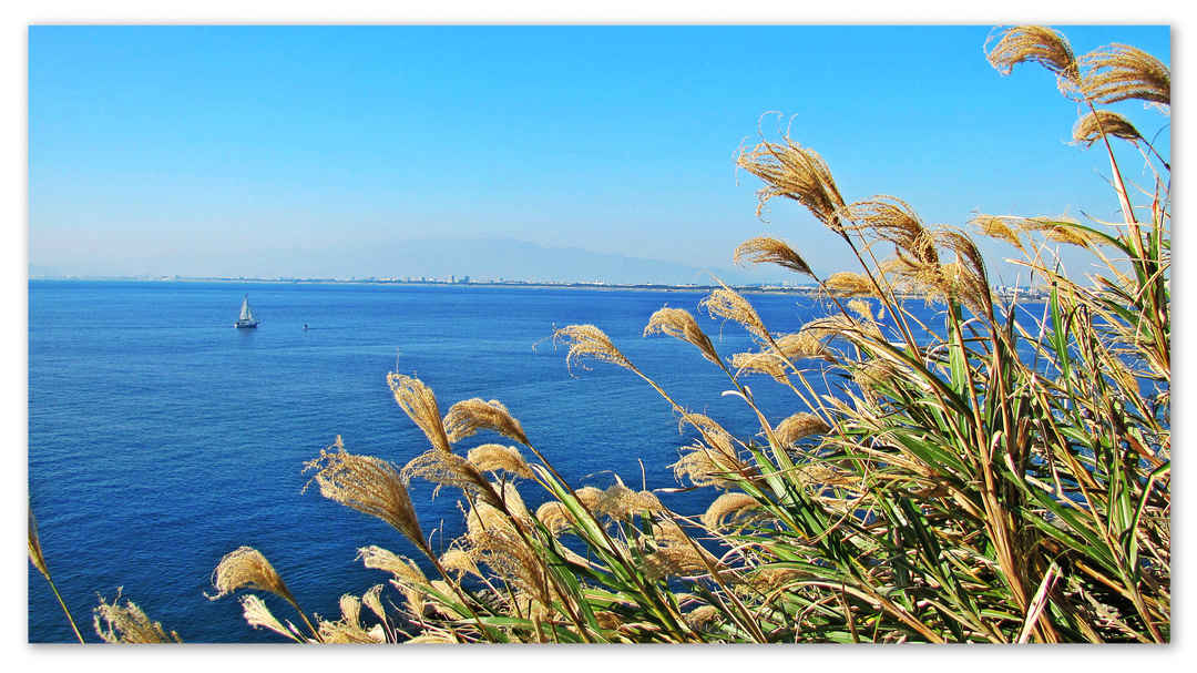 Photo of Here's how to experience the best of Japan in just 5 days!!