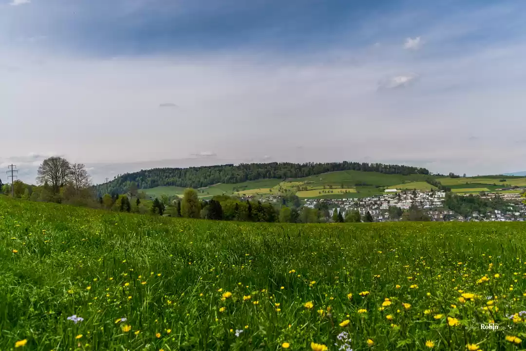 Photo of Listen to 'Babuji' a