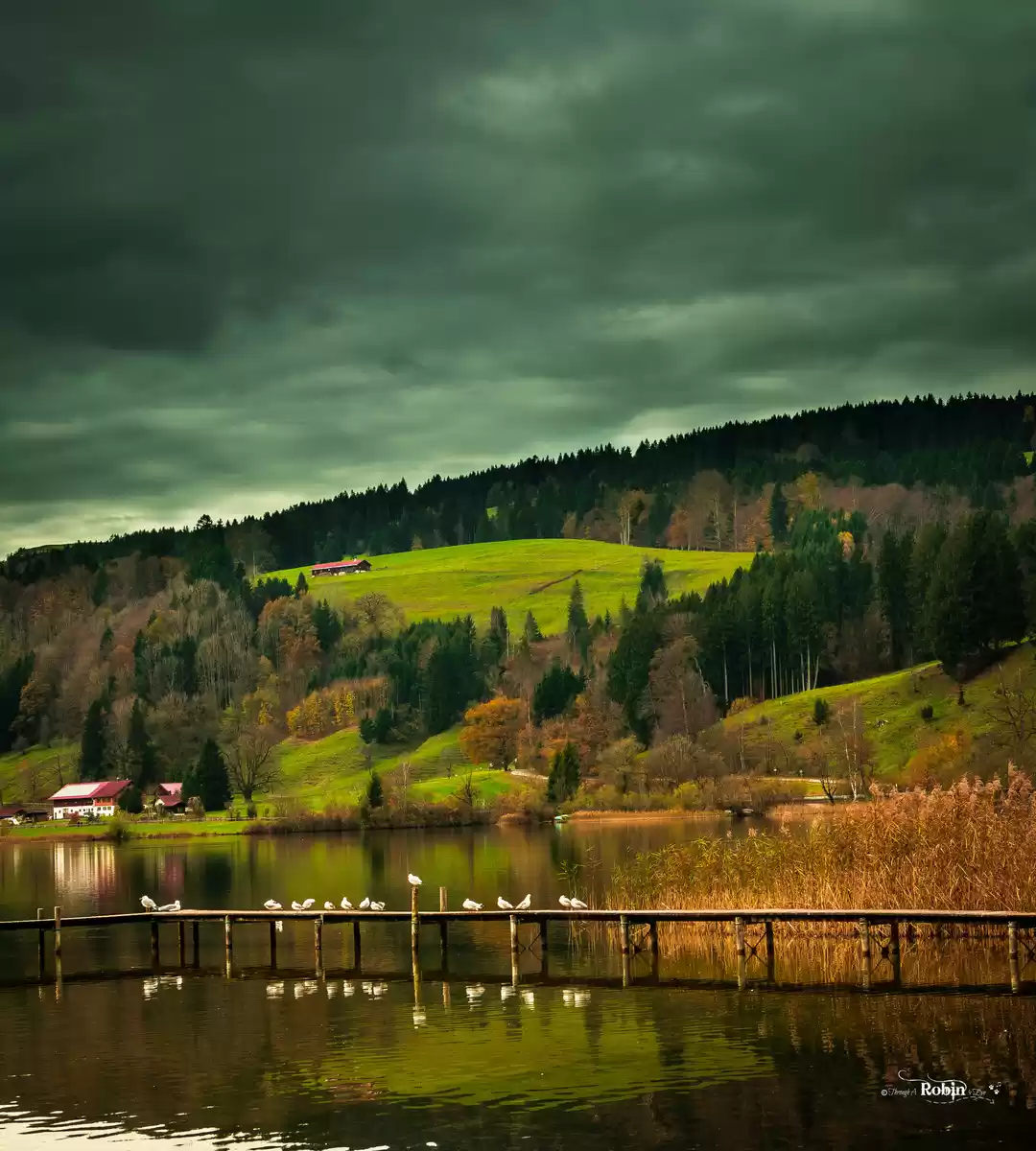 Photo of Follow your heart bu