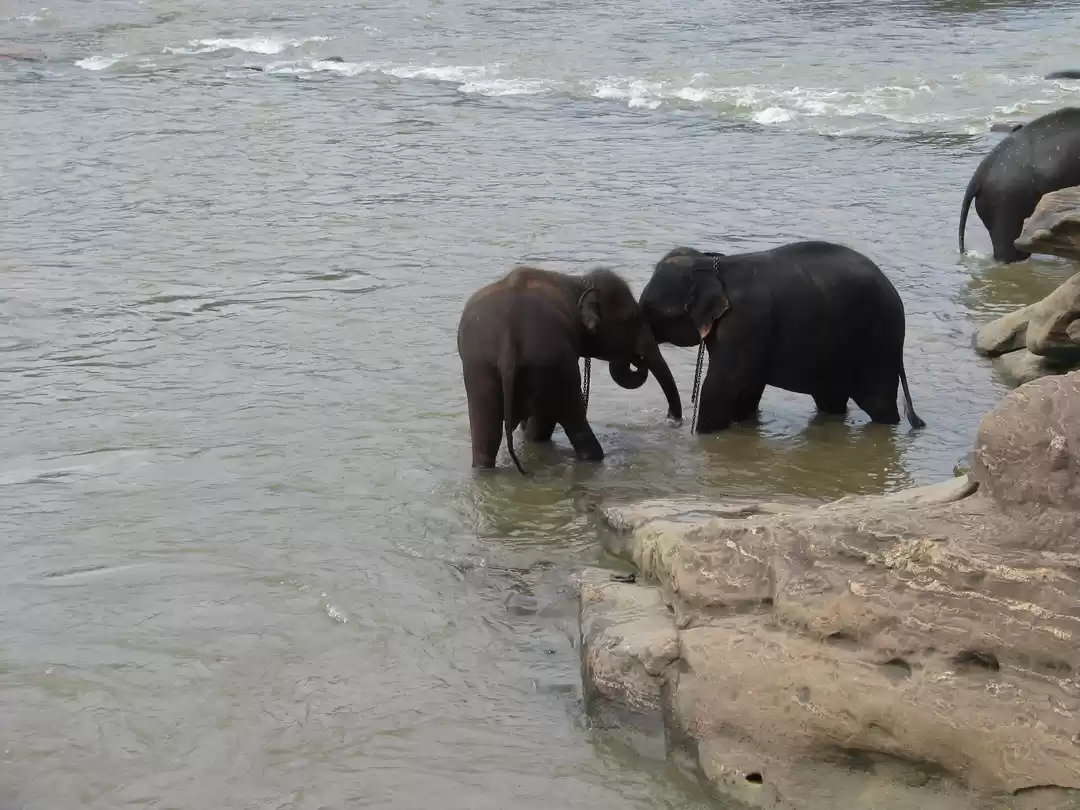 Photo of My very first Solo T