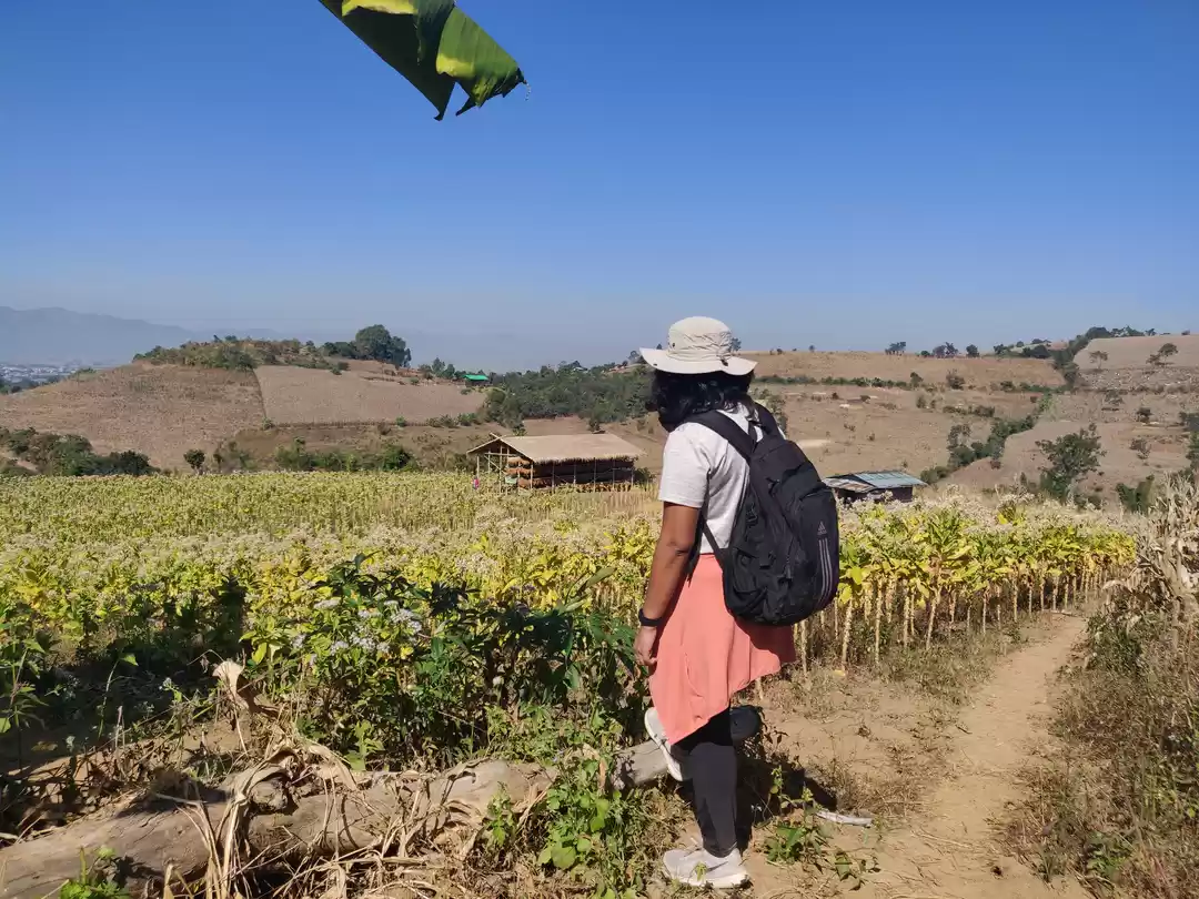 Photo of My last Pre-COVID Tr