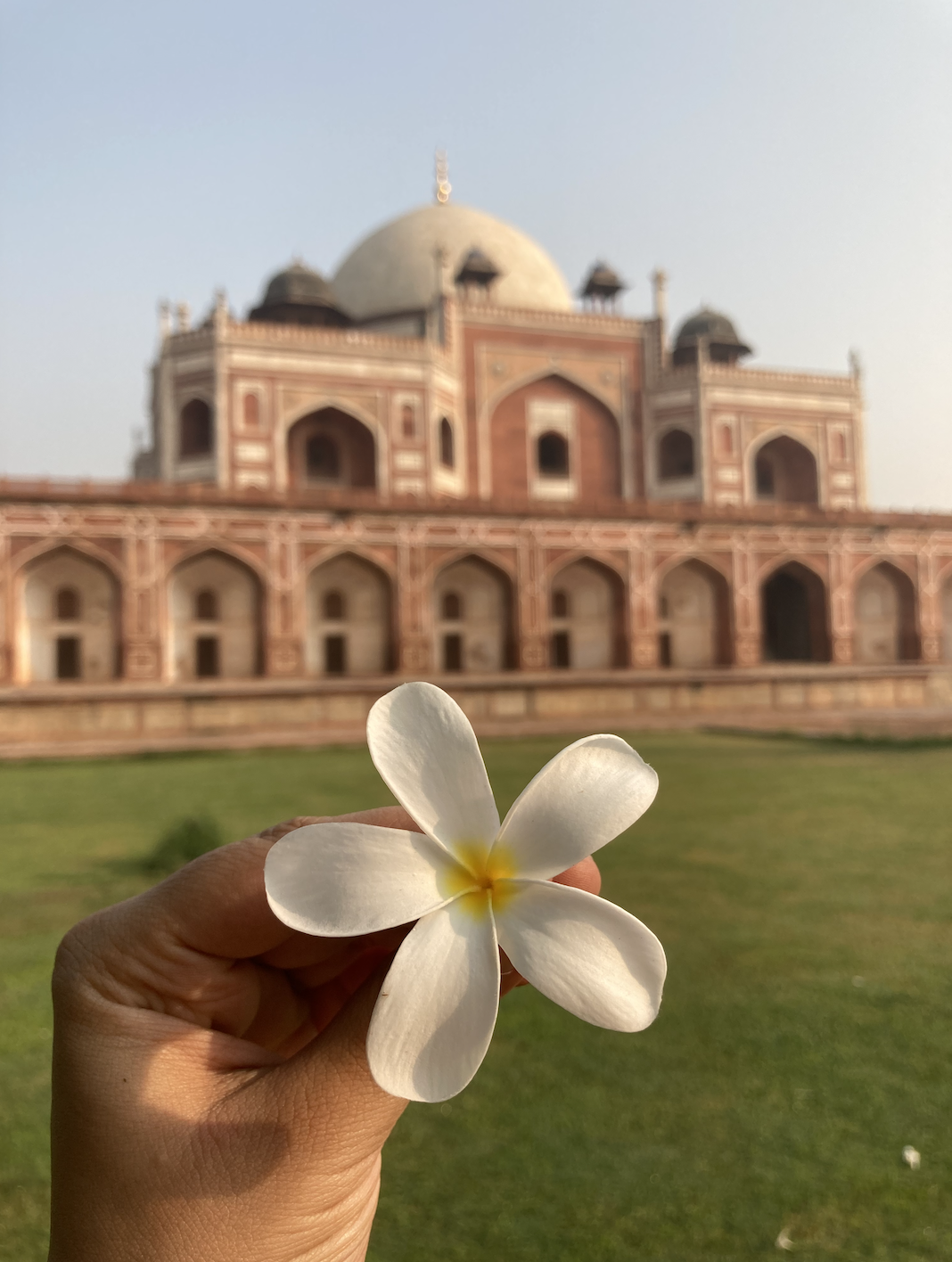 Photo of An Insider's Guide t