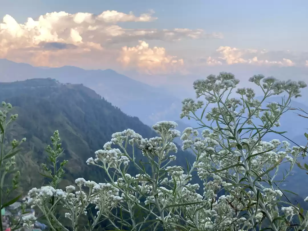 Photo of Looking for a Quiet 