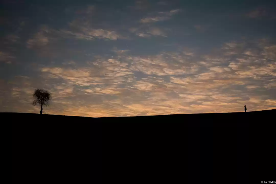 Photo of Chasing Sunsets & Bu