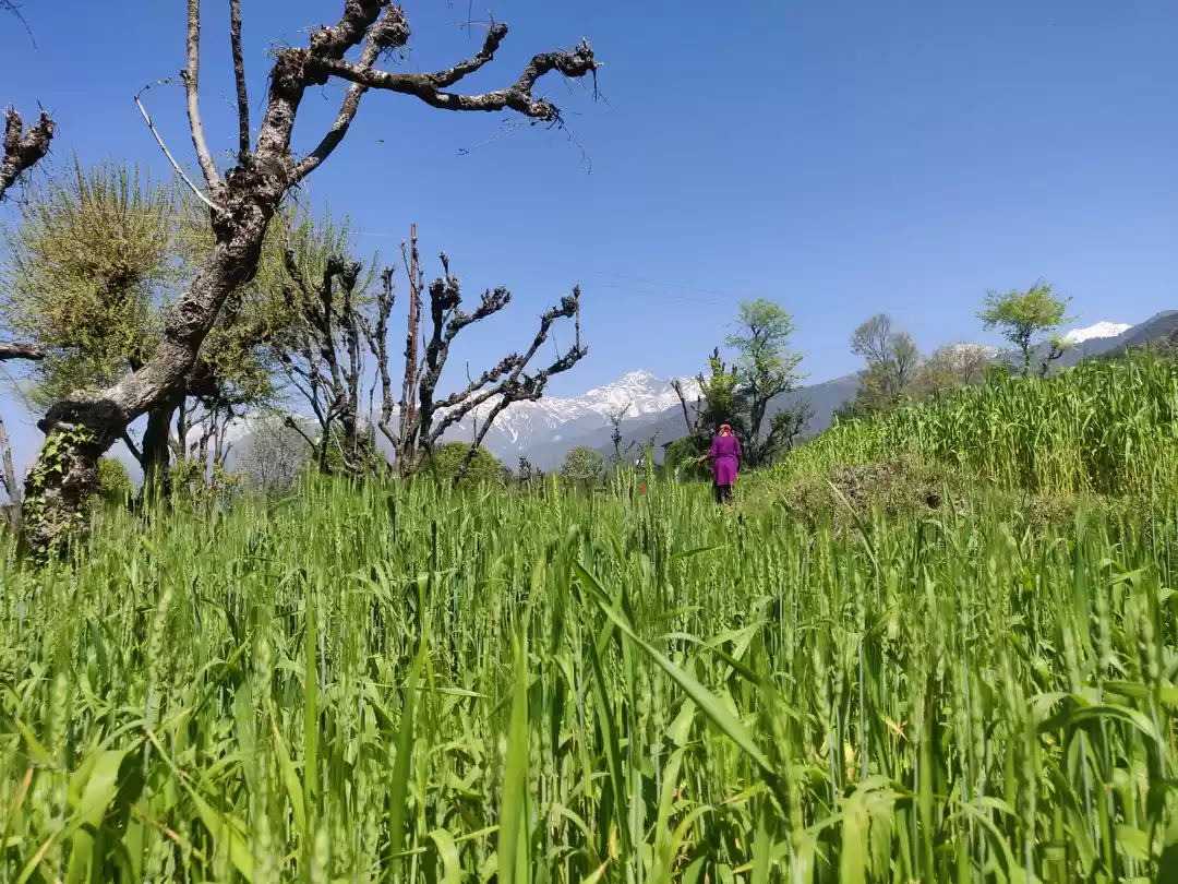 Photo of 5 Reasons You Should