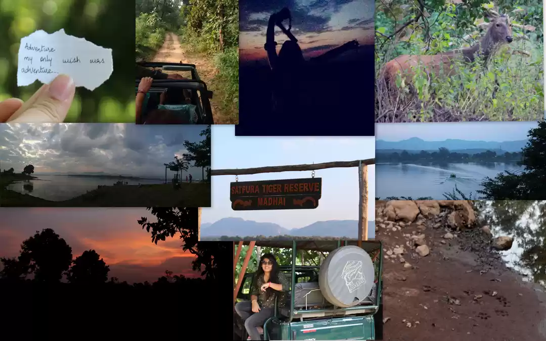 Photo of Madhai, take a walk 