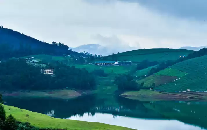 Photo of The Pet-Friendly 'De