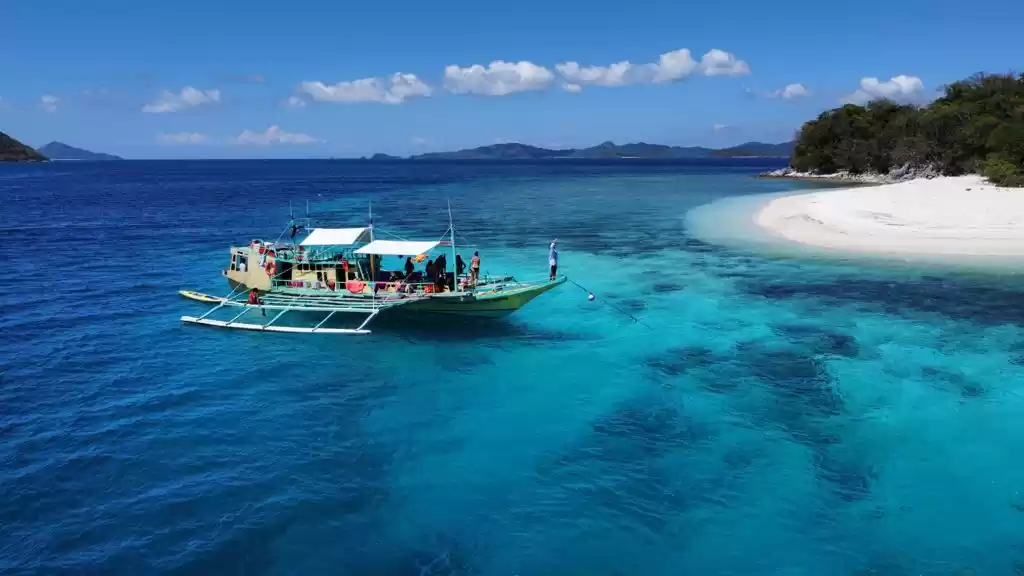 Photo of All the Deets You Ne