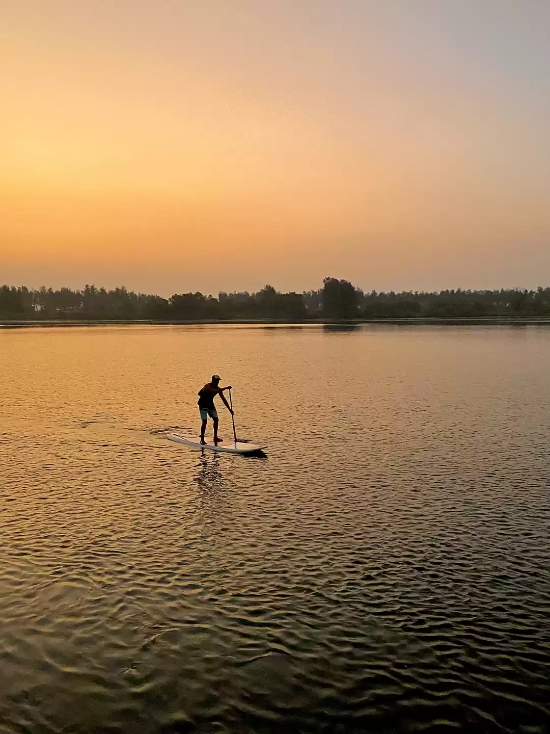 Photo of Golden hour captured