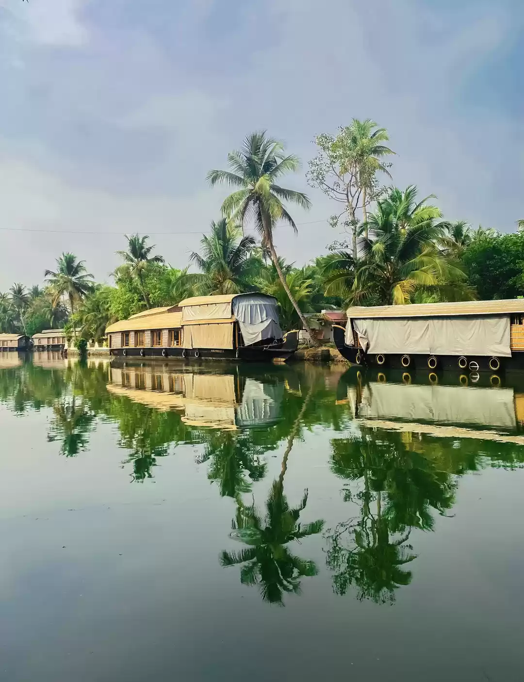 Photo of Beautiful backwaters