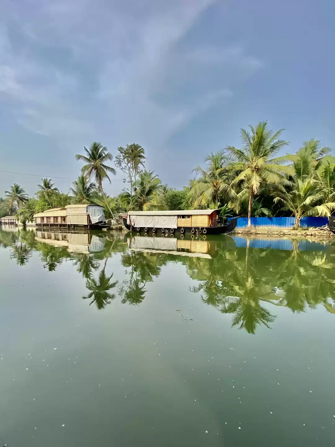 Photo of Looks Like Mother Na