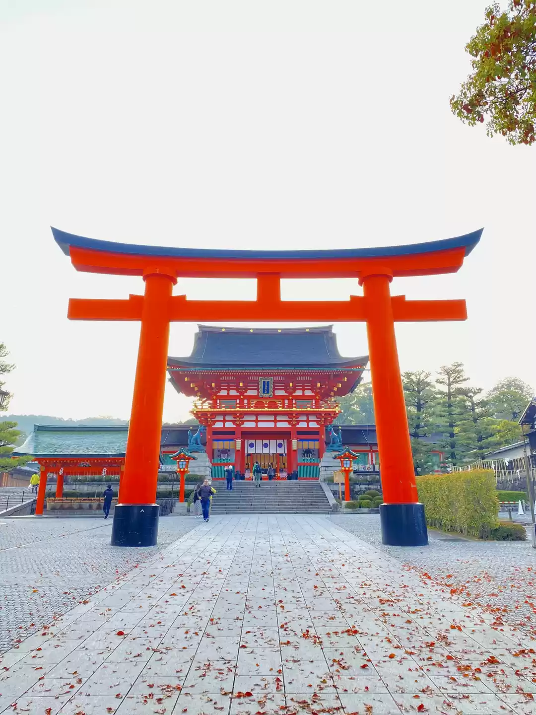 Photo of Incredible Thousands