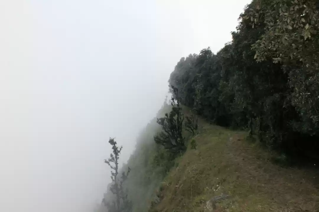 Photo of Jilling : Steps to H