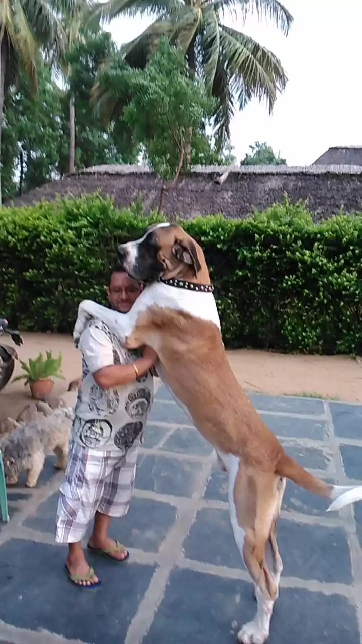 Photo of Hampi Island