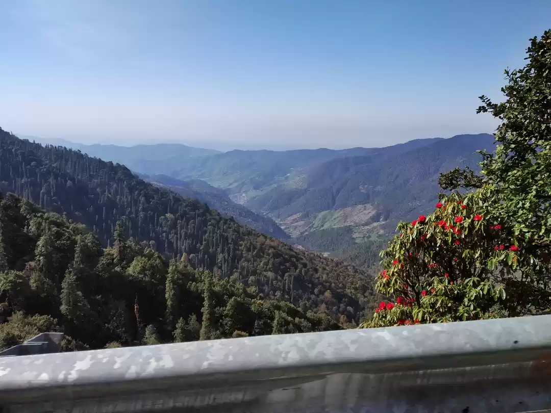 Photo of Solo trip to auli-ch